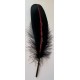 Feather Smudge Black